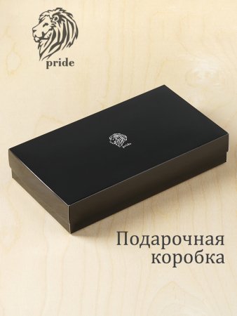 Клатч мужской VIGRANA Pride черный БМ-П/черн. Интернет магазин Гранд Багаж 