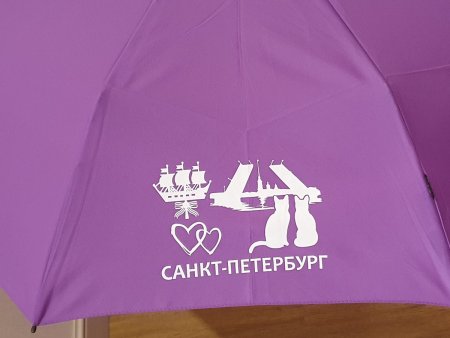 Зонт Knirps автомат E.200 Medium Duomatic PURPLE ECOREPEL (Санкт-Петербург) 95 1200 5500-лого. Интернет магазин Гранд Багаж 