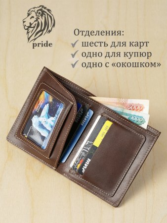 Портмоне VIGRANA Pride коричневый ВП-П/кор. Интернет магазин Гранд Багаж 